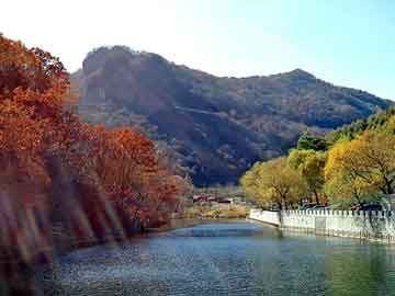 新澳天天开奖资料大全旅游团，塑胶行情